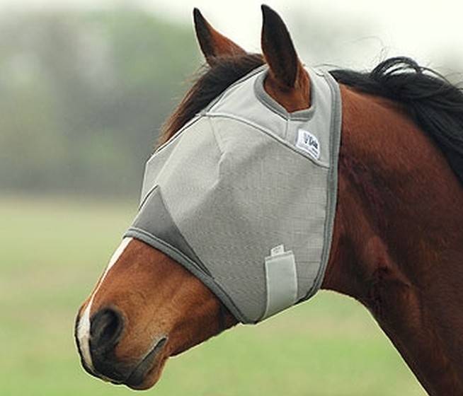 CASHEL STANDARD FLY MASK CFMS.