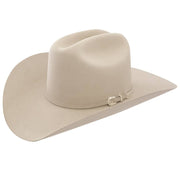 Stetson Skyline 6X Felt Hat