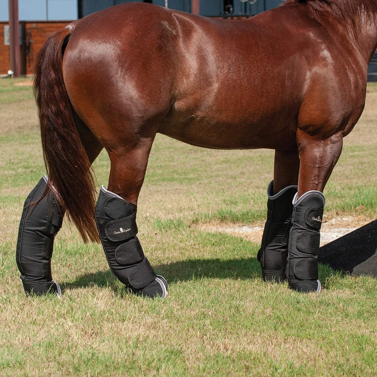 Classic Equine Shipping Boots.