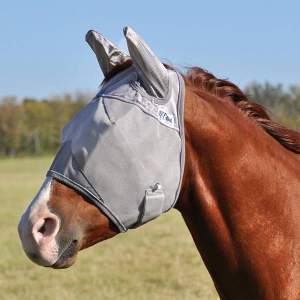 CASHEL STANDARD W/ EARS FLY MASK CFMSE.