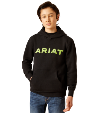 Ariat Boy's Front Logo Hoodie C4