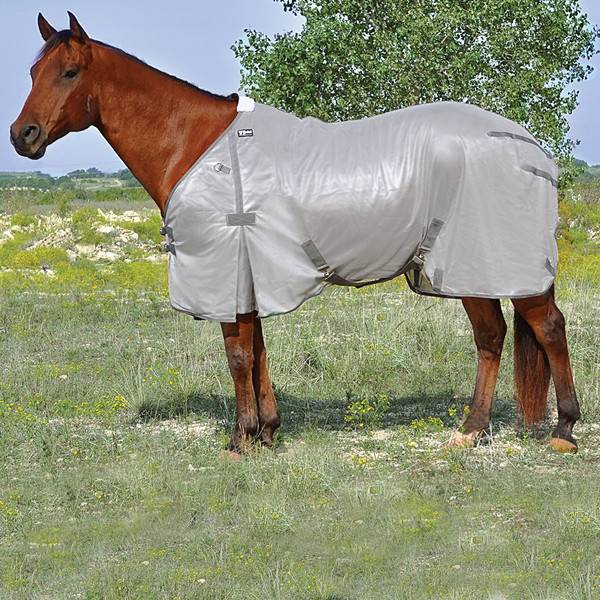 Cashel Econo Grey Fly Sheet