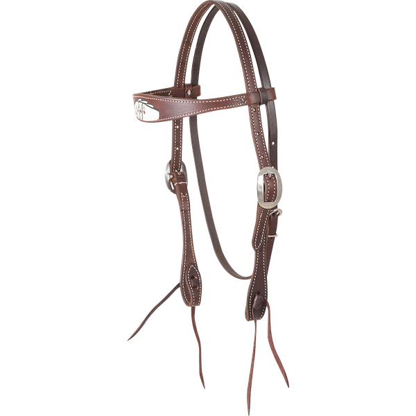 Martin Cardsuit Painted Headstall