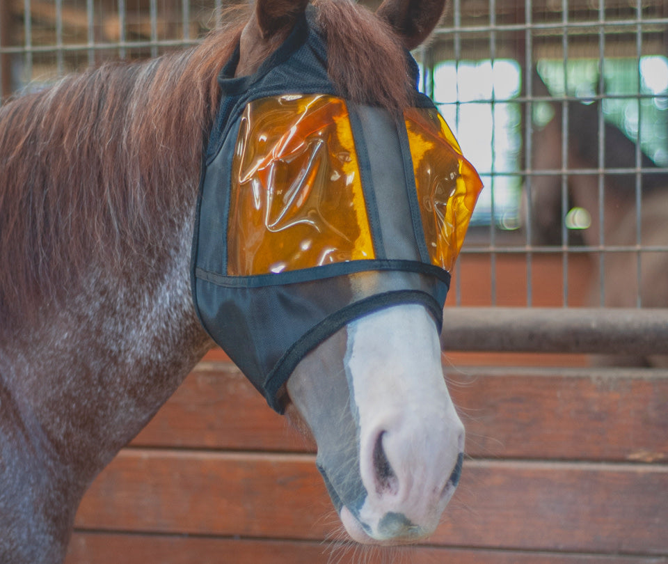 Restoration Equine Mask.