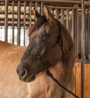 Classic Equine Rope Halter with Lead