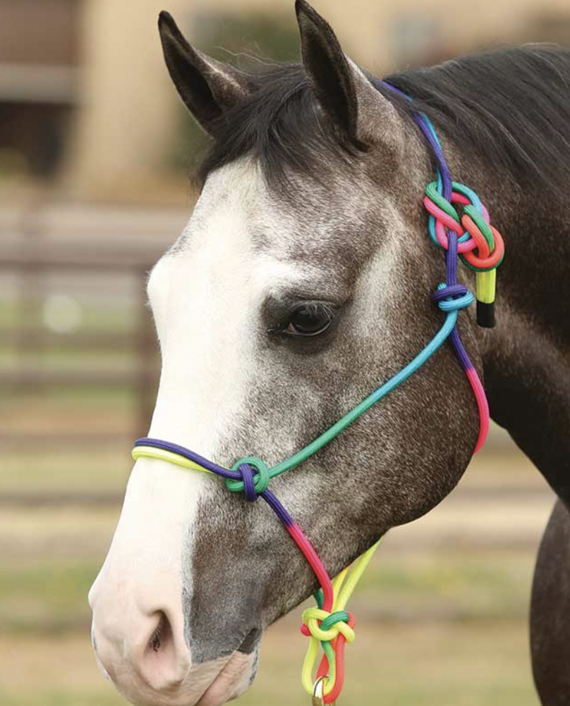 EquiSky Rainbow Rope Halter.