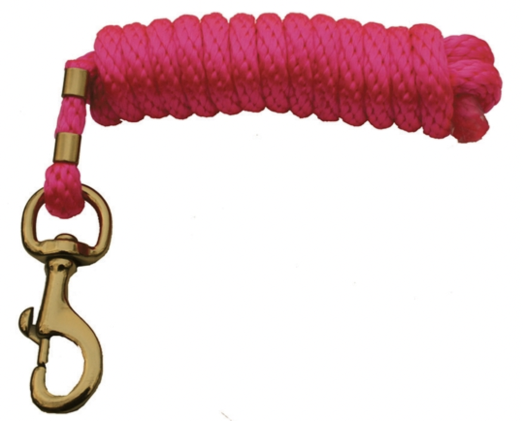 AHE Solid Poly Lead Rope with Brass Bolt Snap