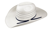 Bailey Arriba 20X Straw Hat