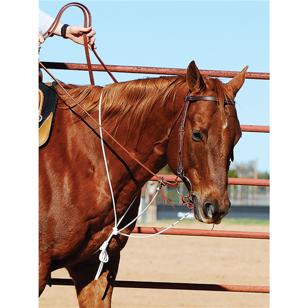 Martin Saddlery String Martingale.