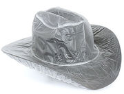 M&F HAT COVER REG CROWN 01080