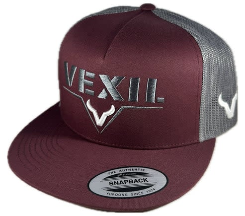 Vexil Men's Thunderstruck Cap